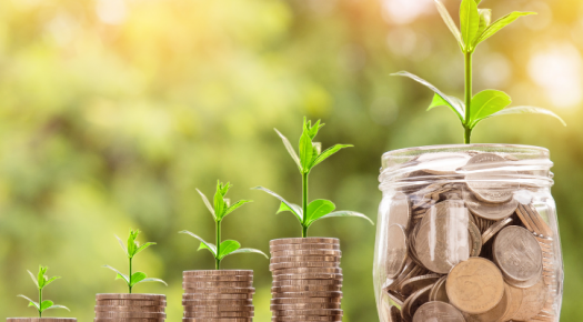 ¿Cómo puedo invertir mi dinero y obtener ganancias?